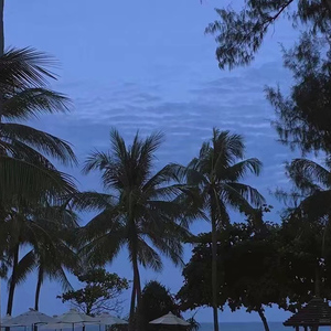 又大x粗黄色录象
